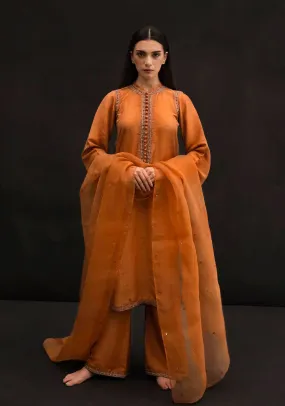 Embroidered Rust Ensemble